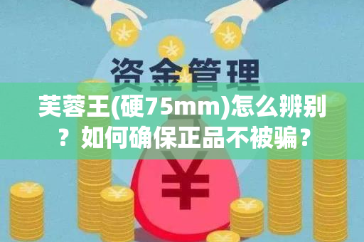 芙蓉王(硬75mm)怎么辨别？如何确保正品不被骗？